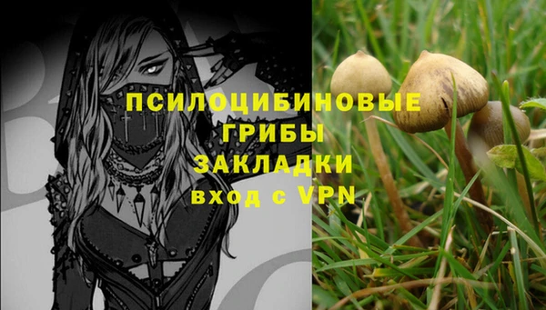 mdpv Заволжск