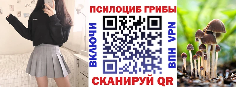 ОМГ ОМГ ссылка  Калтан  Галлюциногенные грибы Psilocybe  как найти закладки 